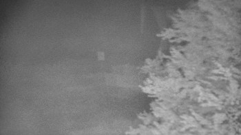 Snímek    16.10.2025 v 06:01