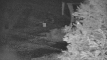 Snímek    23.10.2025 v 19:31
