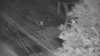 Snímek    23.10.2025 v 20:01