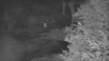 Snímek    24.10.2025 v 03:31