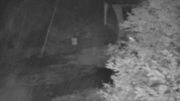 Snímek    24.10.2025 v 04:31