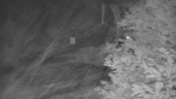 Snímek    24.10.2025 v 18:31
