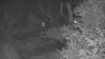 Snímek    27.10.2025 v 23:01