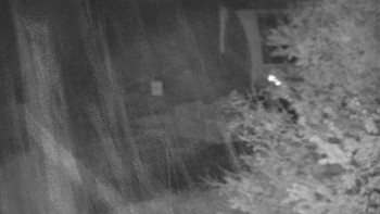 Snímek    28.10.2025 v 20:31