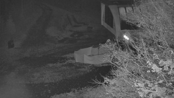 Snímek    1.11.2025 v 03:31