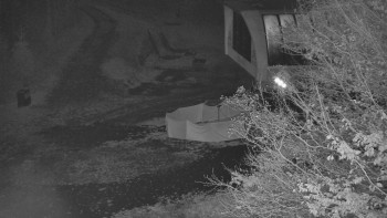 Snímek    1.11.2025 v 05:31