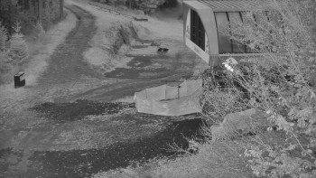 Snímek    1.11.2025 v 06:01