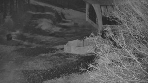 Skiareál Bílá - Lanovka - výstupní stanice - 6.11.2025 v 00:31 Skiareál Bílá - Lanovka - výstupní stanice - 6.11.2025 v 00:31