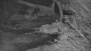 Skiareál Bílá - Lanovka - výstupní stanice - 6.11.2025 v 01:31 Skiareál Bílá - Lanovka - výstupní stanice - 6.11.2025 v 01:31