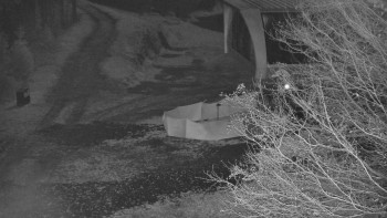 Snímek 7.11.2025 v 05:31