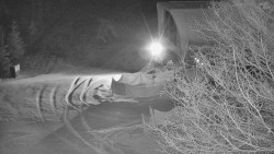 Lanovka - výstupní stanice