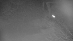 Skiareál Bílá - Lanovka - výstupní stanice - 28.12.2025 v 20:31