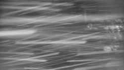 Lanovka - výstupní stanice