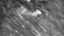 Lanovka - výstupní stanice