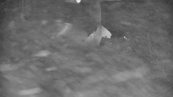 Lanovka - výstupní stanice