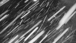 Lanovka - výstupní stanice