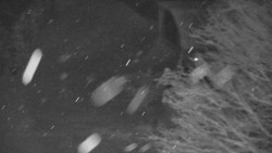 Lanovka - výstupní stanice