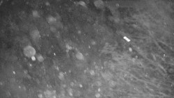 Lanovka - výstupní stanice