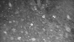 Lanovka - výstupní stanice