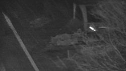 Lanovka - výstupní stanice