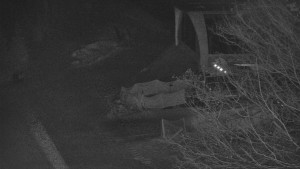 Skiareál Bílá - Lanovka - výstupní stanice - 6.2.2026 v 05:31