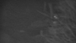 Lanovka - výstupní stanice