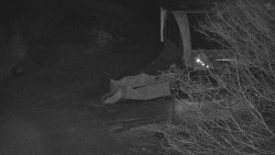 Lanovka - výstupní stanice