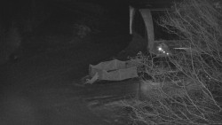 Lanovka - výstupní stanice