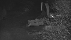 Lanovka - výstupní stanice