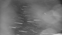 Lanovka - výstupní stanice