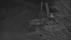 Lanovka - výstupní stanice