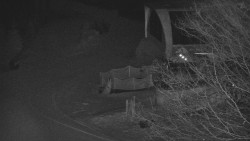 Lanovka - výstupní stanice