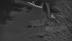 Lanovka - výstupní stanice