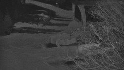 Lanovka - výstupní stanice