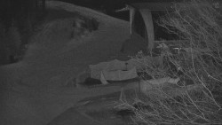 Lanovka - výstupní stanice