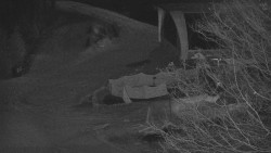 Lanovka - výstupní stanice