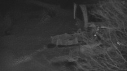 Lanovka - výstupní stanice