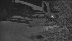 Lanovka - výstupní stanice