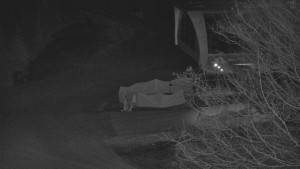 Skiareál Bílá - Lanovka - výstupní stanice - 9.3.2026 v 21:31