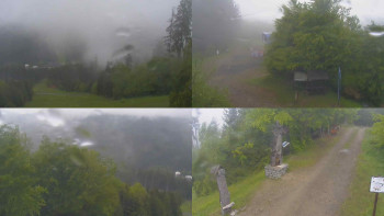 Snímek    15.5.2025 v 08:30