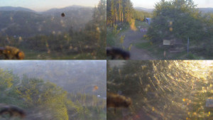 Skiareál Bílá - Sdružený snímek - 15.6.2025 v 05:30