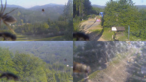 Skiareál Bílá - Sdružený snímek - 15.6.2025 v 07:30