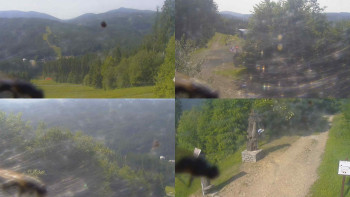 Snímek    26.6.2025 v 16:30