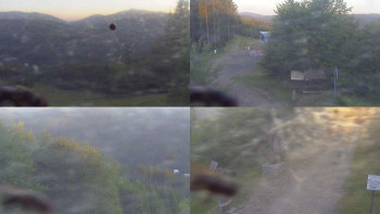 Snímek    3.7.2025 v 05:00