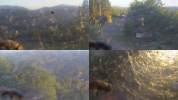 Snímek    3.7.2025 v 05:30
