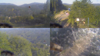 Snímek    3.7.2025 v 07:00