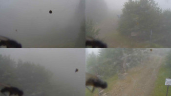 Snímek    4.7.2025 v 09:30