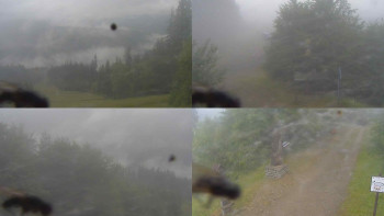 Snímek    7.7.2025 v 07:00