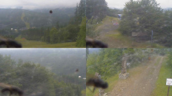Snímek    7.7.2025 v 15:00