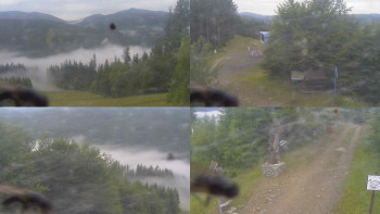 Snímek    12.7.2025 v 07:30